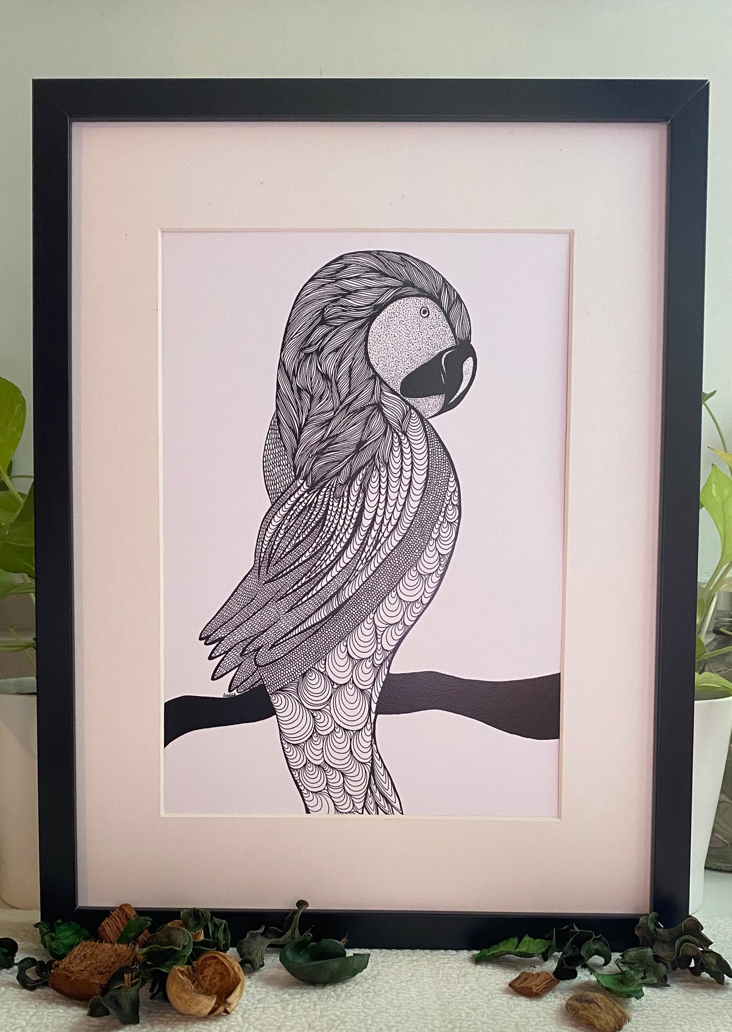 Macaw - Art Print