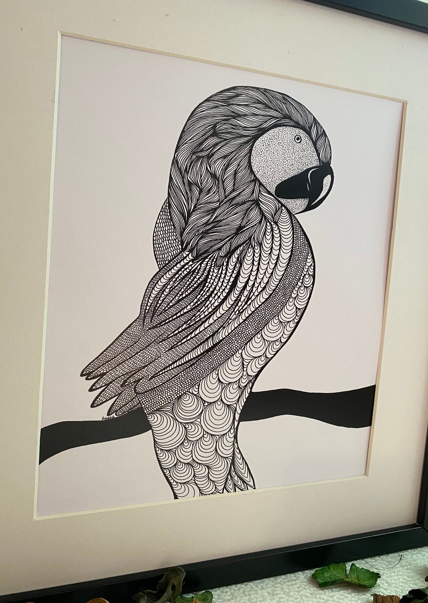 Macaw - Art Print