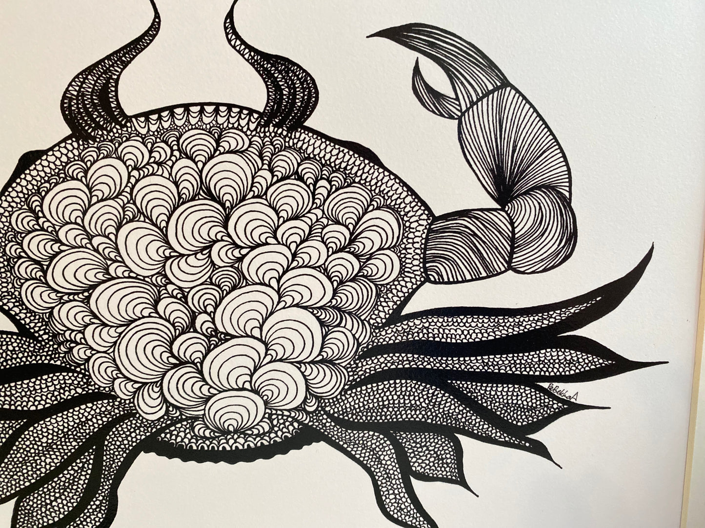 Crab - Art Print