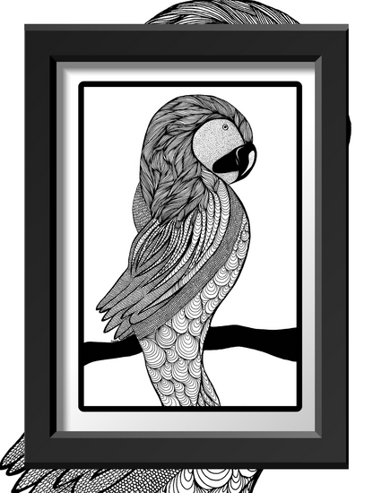 Macaw - Art Print